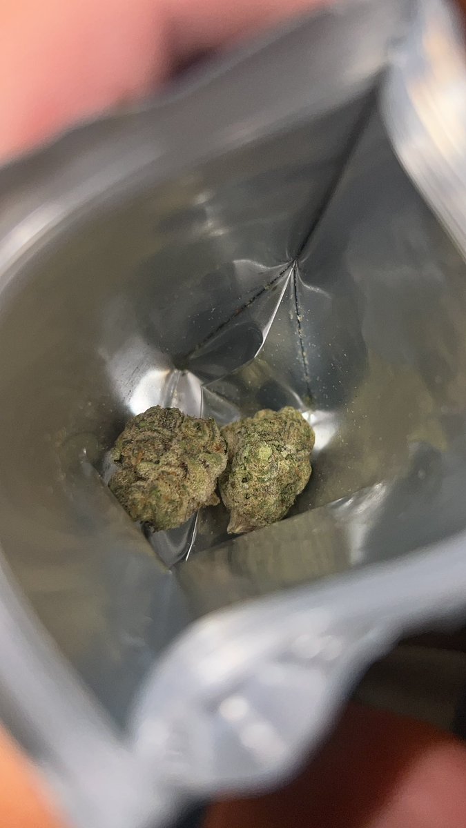 Kniightmare tweet media