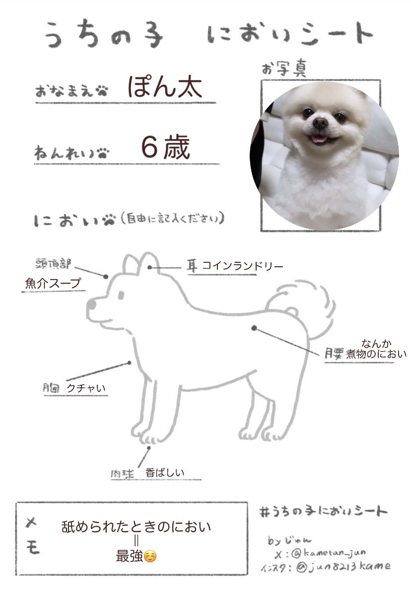 お口のにおい取れません☺️最強☺️
#うちの子においシート
#ポメラニアン #保護犬