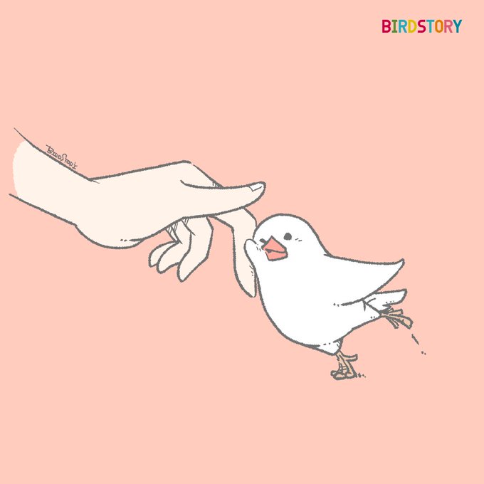 「文鳥」のTwitter画像/イラスト(新着))