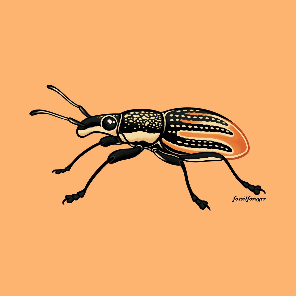 「Invertober Day 4 - Citrus Root Weevil  #」|Nicole 🌱のイラスト