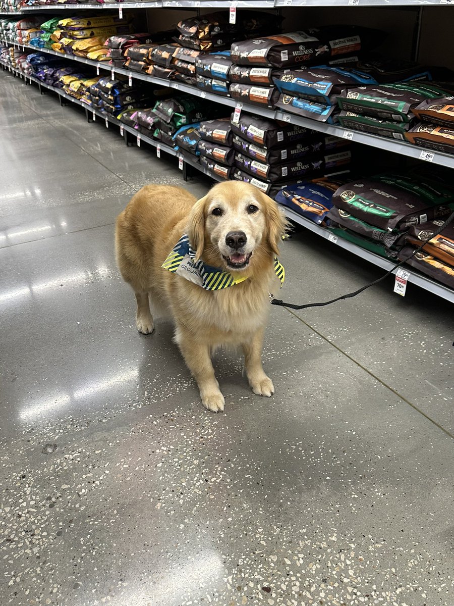 ✧kel✧ tweet media