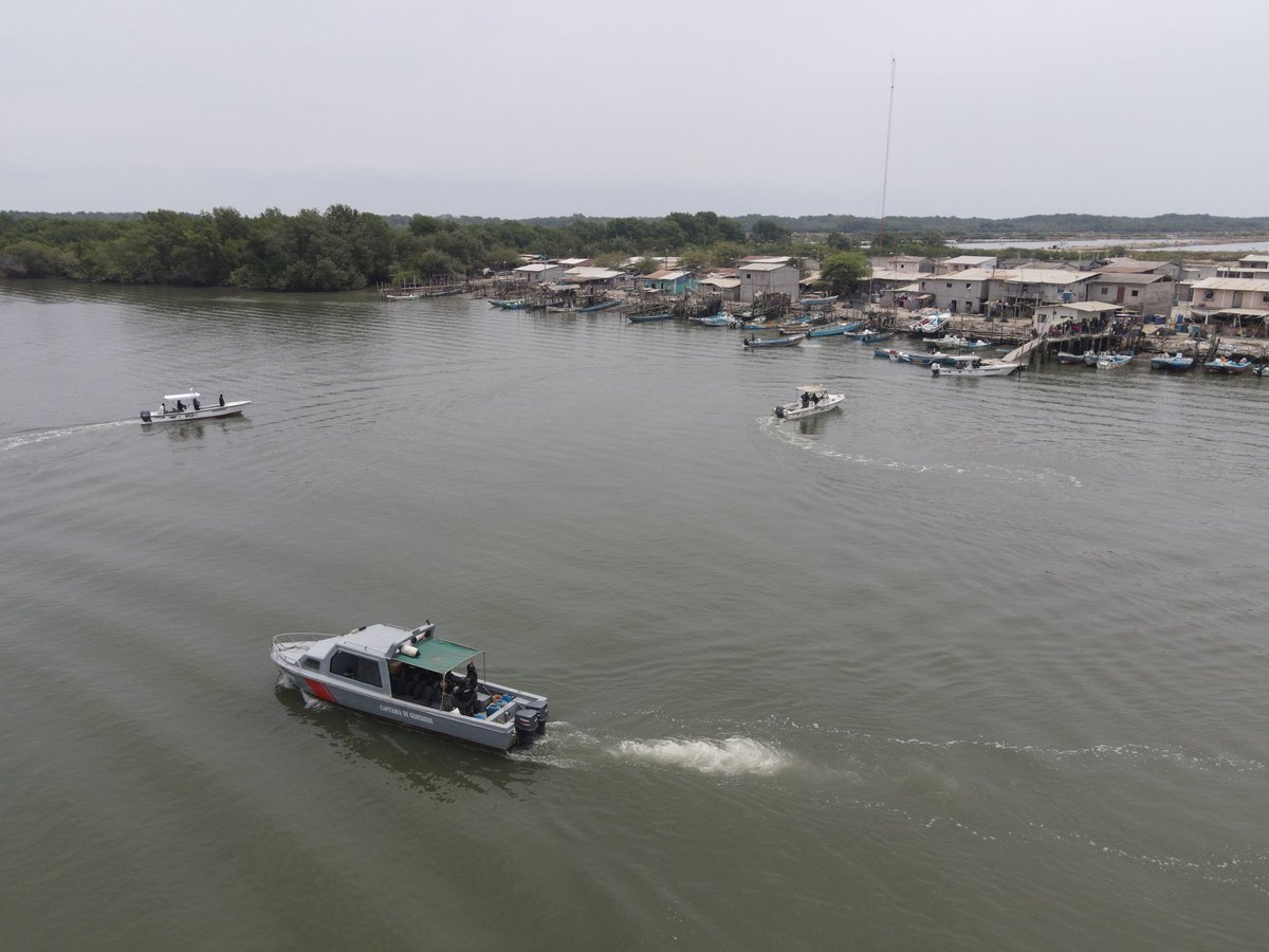 WildAid Latinoamérica tweet media