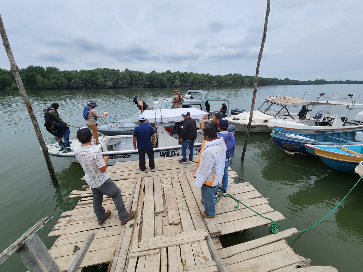 WildAid Latinoamérica tweet media