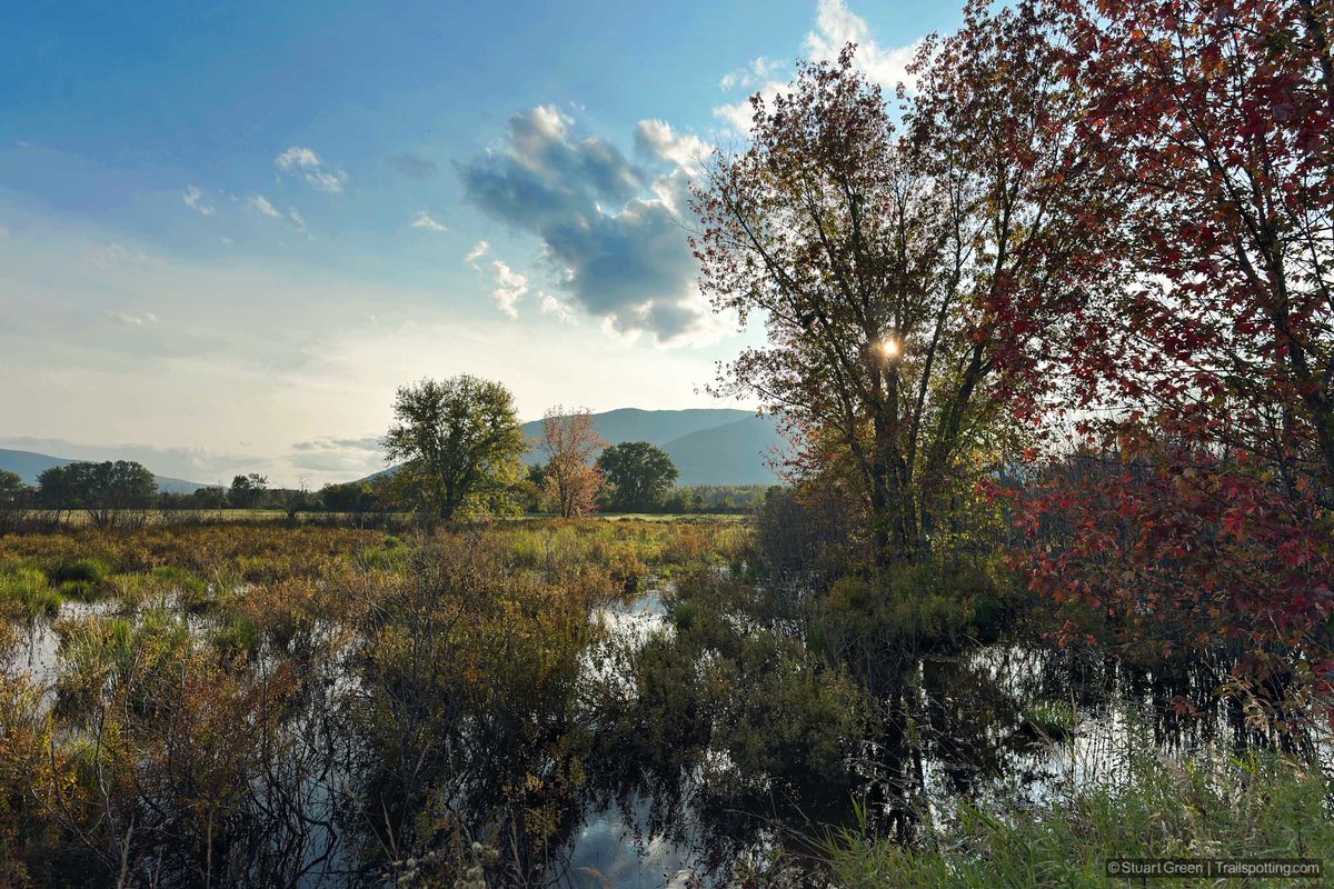 Trailspotting's tweet image. hiking • railtrails • reviews • maps

Upper Coos Rail Trail, NH
4⭐ 9.5 miles • Medium difficulty
trailspotting.com/2023/10/upper-…

#RailTrail #RailTrails #RailsToTrails #NewHampshire #Vermont #NewEngland #FallFoliage #Fall #Photography #Beautiful #Nature #Travel #Bicycling #cycling
