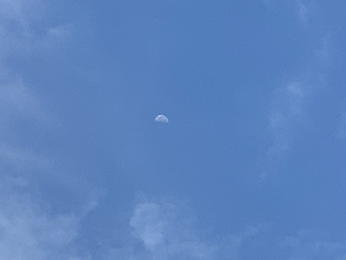 scourn2's tweet photo. Does the moon come out during the day I'm confused https://t.co/XfJTLz4H4O