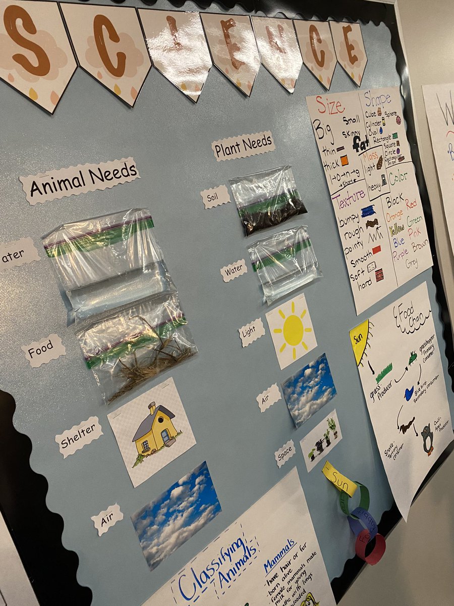 CFISD_Hancock's tweet photo. Print rich, interactive classrooms. ๐ฉต
#representation #interactive #science #ELA #Writing #Phonics
@FelderTamera @CarrieAnneEd @NatashaJernagin @JonesAshsmith1 @_lindsayking_ #MsRodriguez https://t.co/2kj2S029qp
