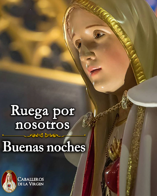Caballeros de la Virgen tweet media