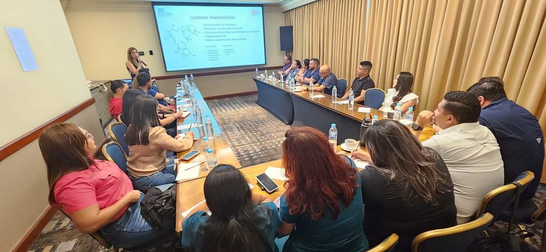 Sagrisasv's tweet photo. ¿Conoces los nuevos Hitos en Parasitologia Interna? 🤔

Natalia Cardillo, Especialista en Parasitología y Farmacología realizó un taller sobre los principales desafíos que enfrenta el área de veterinaria em el tema de parasitología interna. https://t.co/3gUiUPMEUg