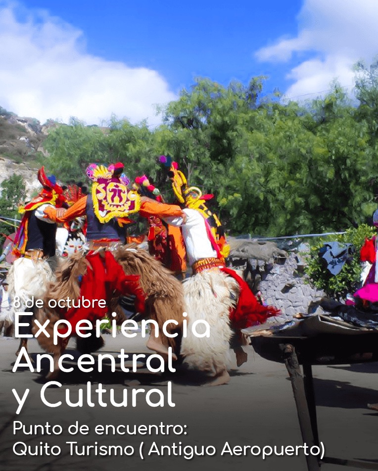 Visit Quito tweet media