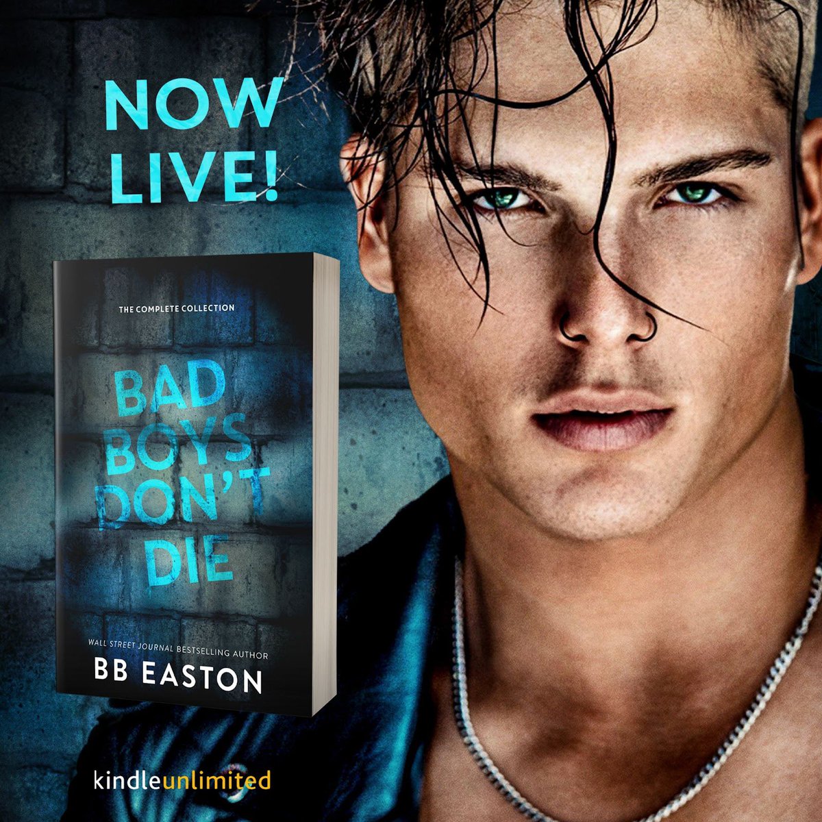 Bad Boys Don't Die: The Complete Collection by @bb_easton is now LIVE!

Download today or read for FREE with #kindleunlimited 
mybook.to/badboysdontdie…

#bbeaston #badboysdontdie CloseProximity #Dystopian #HeroineinDanger #RomanticSuspense #newrelease