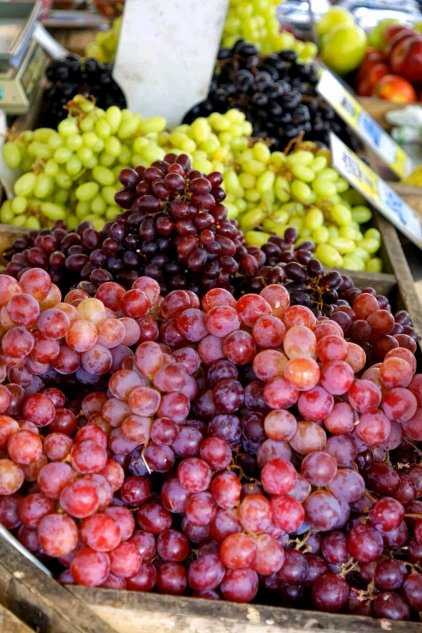 Makay_Hayti's tweet photo. 🇭🇹🍇🍇

Èske w te konnen nan komin Chadonyè ki repite pou pwodiksyon rezen nan peyi a gen yon Festival rezen?
 
Li fèt nan mwa jiyè,  soti 23 rive 28, nan menm lè ak fèt pawonal vil la (Sentàn).

Festival sa se okazyon pou yo sansiblize sou kilti rezen an,  fè ekspozisyon. https://t.co/uEtDRhEXI4