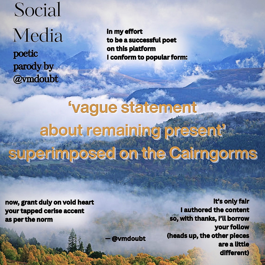 V. M. Doubt - Poet tweet media