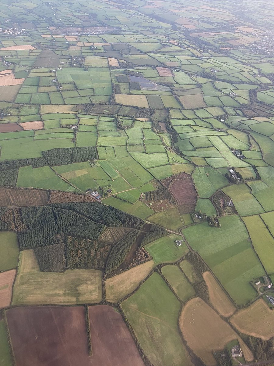 Out of 240 nations and states on Earth, Ireland is THIRTEENTH FROM THE BOTTOM for nature. And it shouldn't be any surprise: our countryside is an endless expanse of virtually lifeless fields, sheep-shorn uplands + sitka deadzones. It's *long* past time for change. #Rewilding