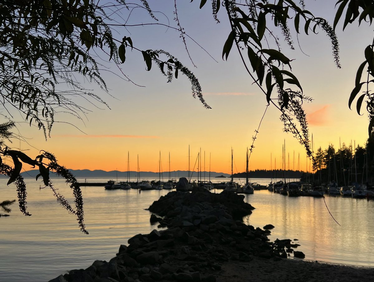 msmelpb's tweet photo. More sunset photos from tonight! 😀 https://t.co/9S7swPQxxT