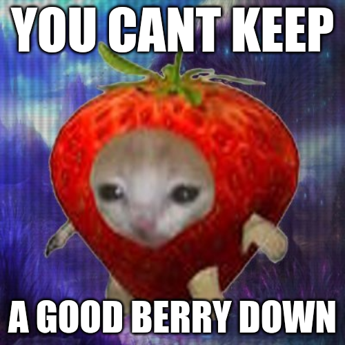 purrberryeth's tweet photo. #purrberry https://t.co/bwy20s7IYI