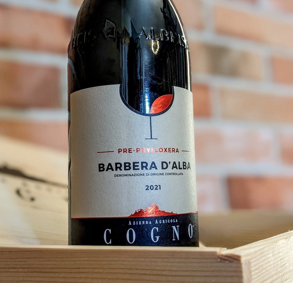 cognowines's tweet photo. Barbera d'Alba Pre-phylloxera 2021: a wine of rare intensity and richness, produced with grapes from one of the last archaic vineyards of the Langa, an open-air museum of viticulture of yesteryear. 

#elviocogno #barbera #prephylloxera https://t.co/vpEP7Rixn6