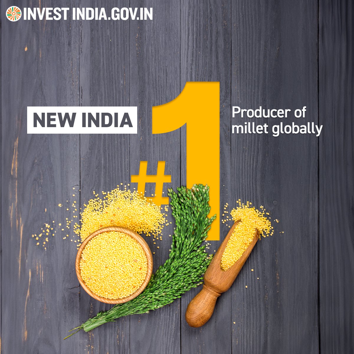 InvestIndiaISR's tweet photo. #DidYouKnow: The @UN's General Assembly declared 2023 as the International Year of Millets to create domestic &amp; global demand and provide nutritional food to the people.

Know more: https://t.co/6CfVh6jVxQ

#InvestInIndia #InvestIndia #AgricultureSector #Millet #IYM2023 #NewIndia https://t.co/sya0IImefR