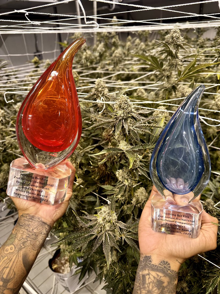 TheStandardCC's tweet photo. 1st Place Best Zkittles 🙌
At the Nothing But Fire event on September 9th. https://t.co/wDgFG9tQJq
