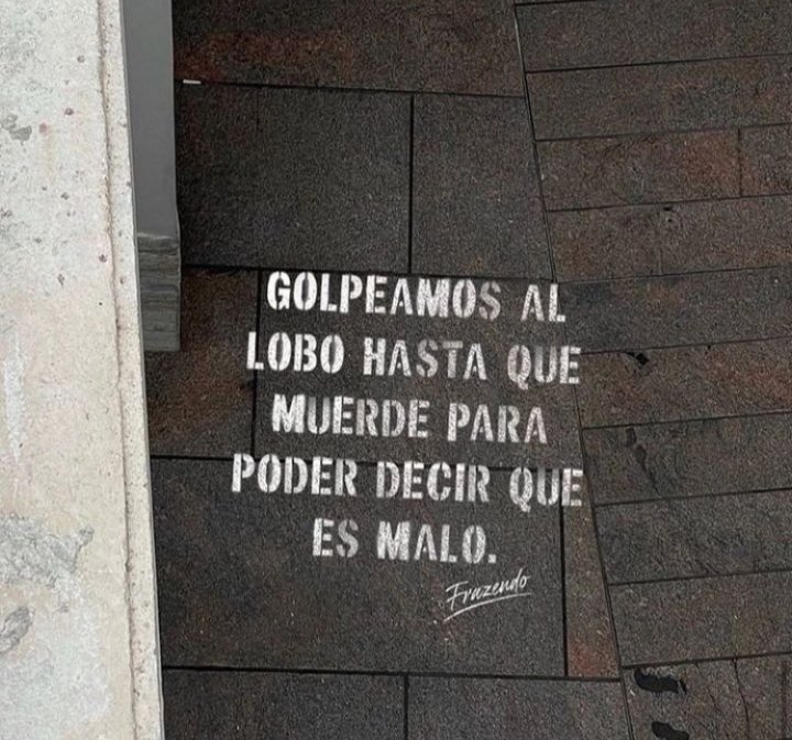 Escrito Ideal (@escrito_ideal) on Twitter photo 