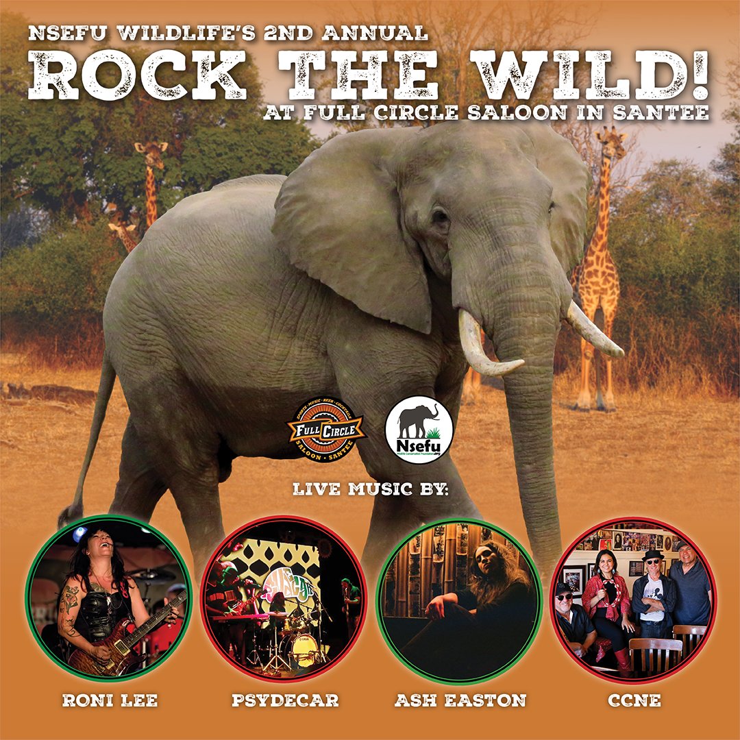 Join Nsefu Wildlife on Sunday (11/5) for an afternoon for the 2nd Annual Rock the Wild! bit.ly/RockTheWild2023 #nsefu #rockthewild #coelewis #conservation #africa #wildlife #zambia #CCnE #RoniLee #AshEaston #Psydecar #fullcirclesaloon