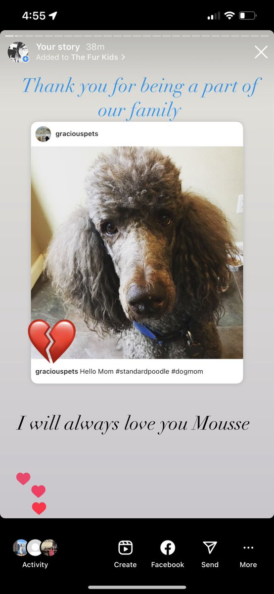 Gray_si's tweet photo. Thank you for the last 13 yrs. I’ll never be the same. I love you Mousse. https://t.co/tA4RMvUw5n