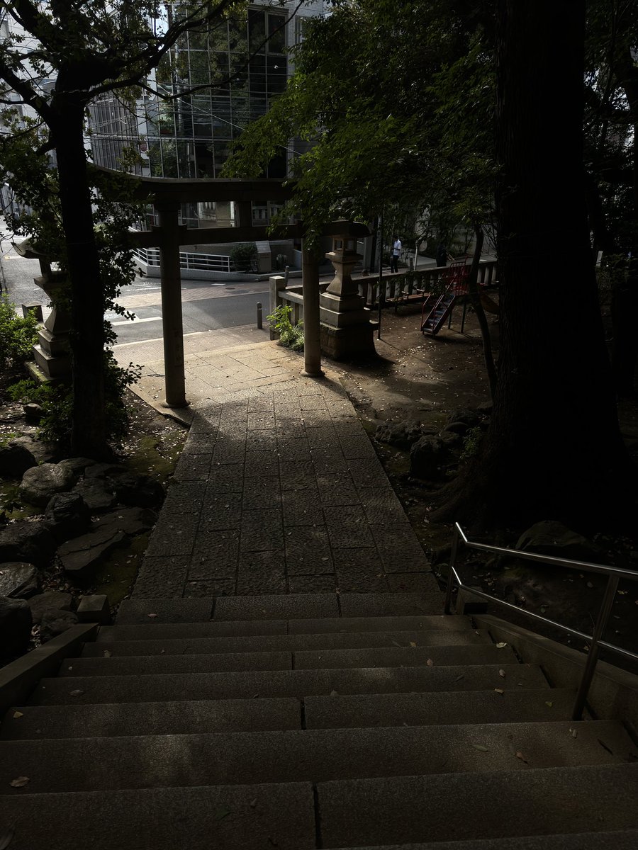 nipper_design's tweet photo. iPhone15 Pro、撮って出しでこの雰囲気でるのなかなか https://t.co/s1AP1vrQj9