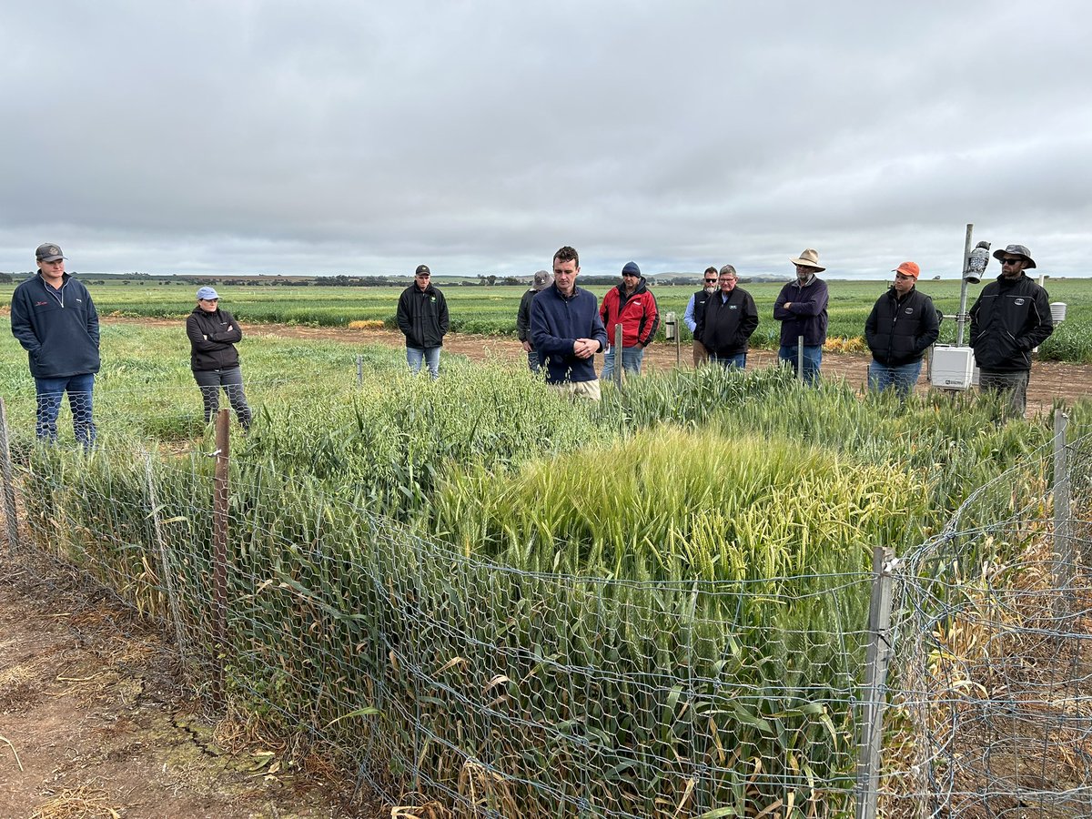 kentonp_ag's tweet photo. Superb job by @bensmith213 going through the importance of crop development for frost management @MidNorthHRZ. 
Still the best management tool outside of other more drastic interventions. https://t.co/l2ED9qgCku