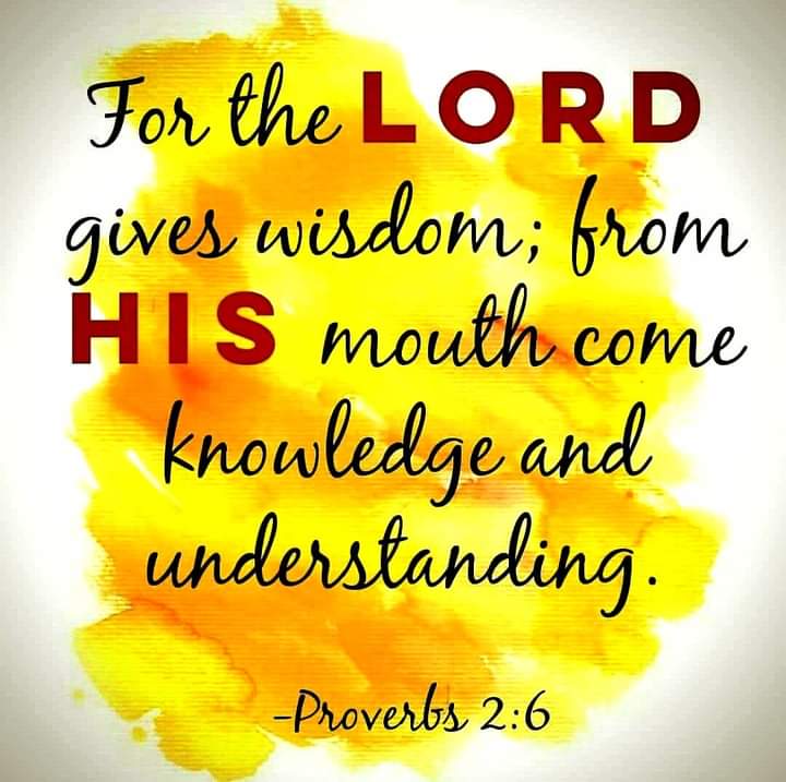PROVERBS 2:6✝️🛐 For the LORD giveth wisdom: Out of his mouth cometh knowledge and understanding.