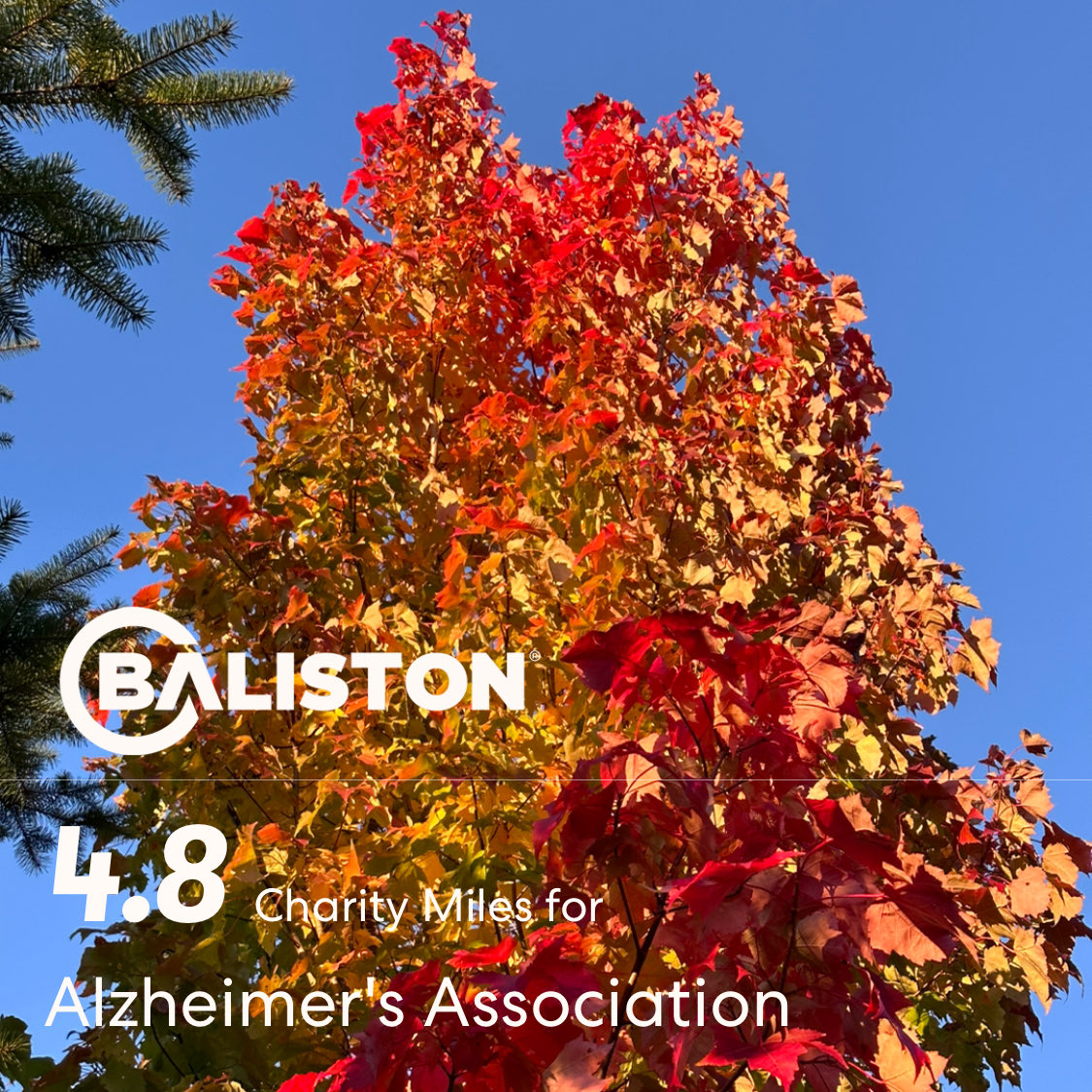 GroveAyers's tweet photo. At work, 4.8 @CharityMiles for @alzassociation in solidarity with @happyrunningmom as part of my #CharityMiles #ExtraMileChallenge . If you’re in a position to do so, please click here to sponsor me.
#EveryMileMatters
https://t.co/Ers3dZotgp https://t.co/1N5ZQk4pCy