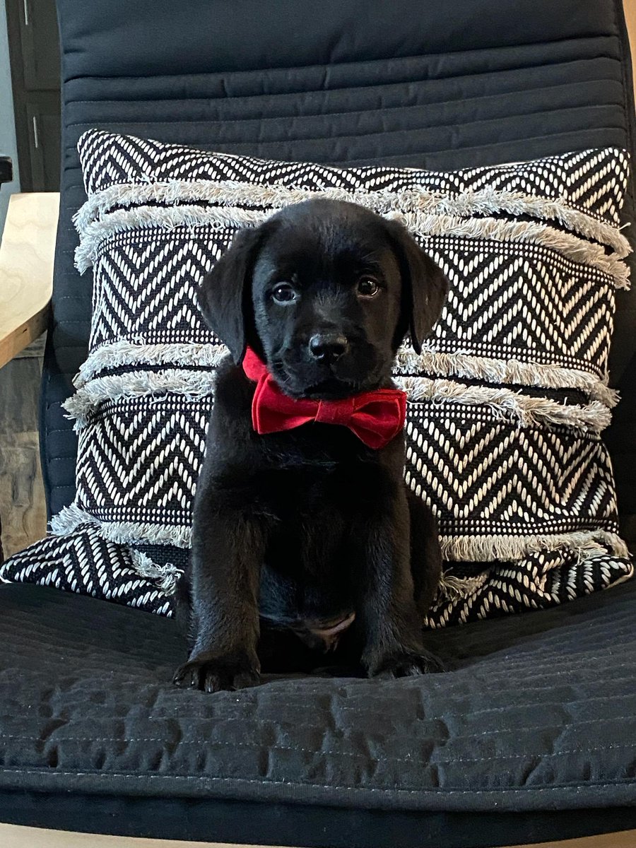 Kent Priore, Author tweet media