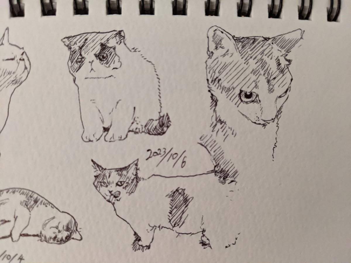 息子が風邪引いた…風邪には気をつけよう カキカキ。 