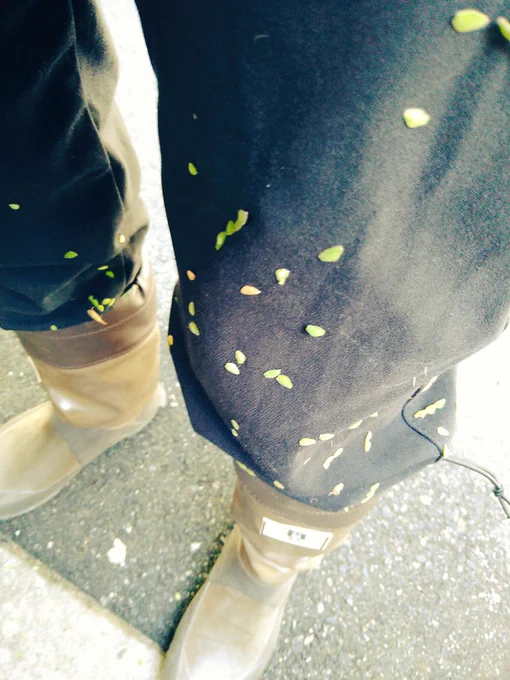 植栽の手入れ本日の成果ヌスビトハギの種がべったりくっついて大変でしたが、エリアの昨日残した分は全部終了 