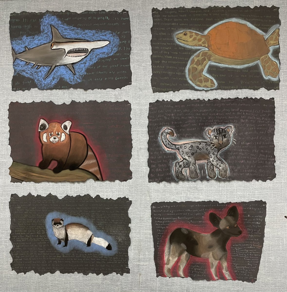 Saeger Spartan Encore (@spartanencore) on Twitter photo 7th grade students are showing their talent with pastel chalks and expressing animal endangerment concerns. All in a work of art!! <a href="/ArtsFhsd/">FHSD Fine Arts</a> <a href="/FrancisHowell/">FrancisHowell</a> <a href="/SaegerMiddle/">Saeger Middle School</a> 7th grade students are showing their talent with pastel chalks and expressing animal endangerment concerns. All in a work of art!! <a href="/ArtsFhsd/">FHSD Fine Arts</a> <a href="/FrancisHowell/">FrancisHowell</a> <a href="/SaegerMiddle/">Saeger Middle School</a>