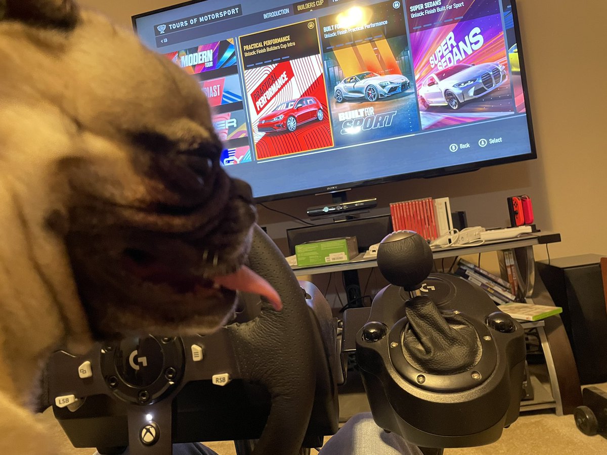 ChainAttackTrev's tweet image. Trying to play Forza Motorsport, but I have a “helper”.