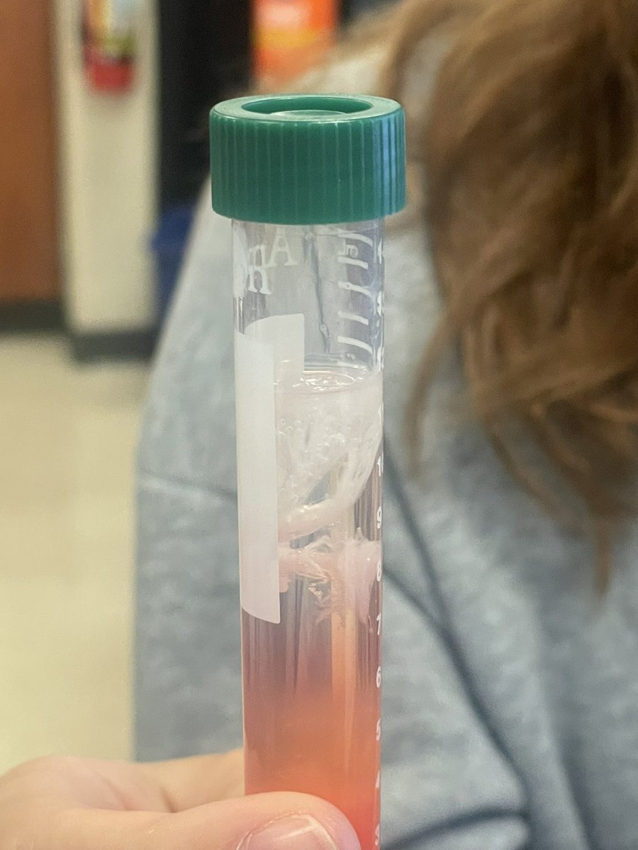 Sara Schymick tweet media