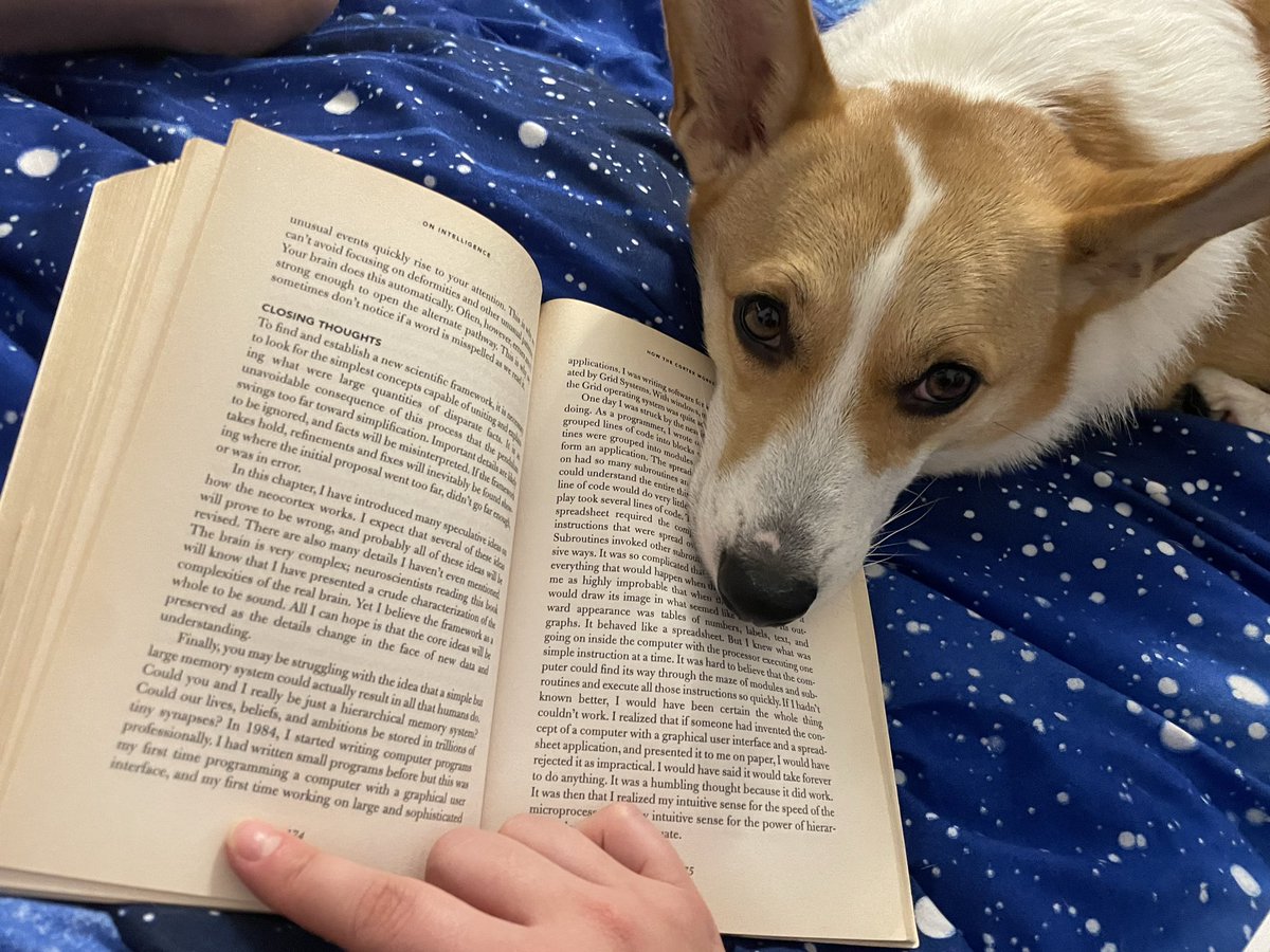 Jana Odineca🇨🇦🇺🇦 tweet media