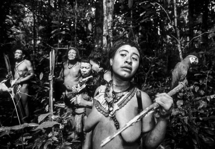 LilliunAzules's tweet image. 🌿  “Se continuar assim, vamos desaparecer.”
Raoni

🌳 Deem uma pausa nas queimadas para voltar aos amazônicas.  Onde estão? São 1 tribo em extinção, os Akunt’su. São só 5 todos parentes. Sobreviventes de massacre. Corumbiara. Rondônia. 
#sosamazonia #sosamazônia
#savetheamazon