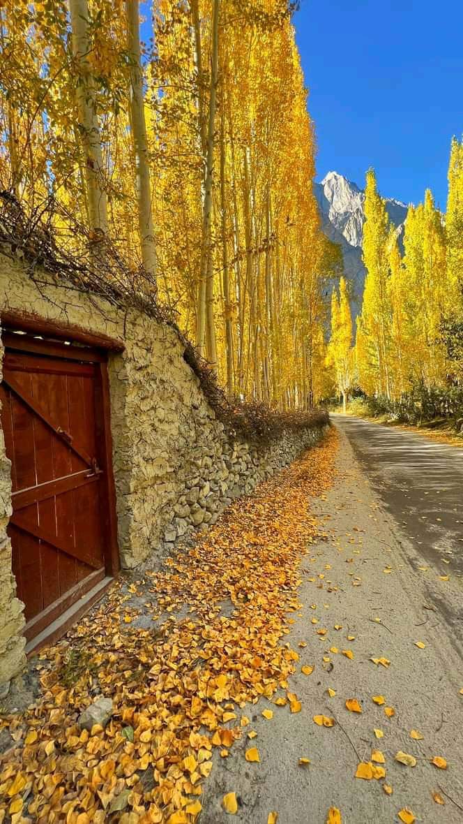 Autumn in #GilgitBaltistan 🇵🇰 #PakistanZindabad #traveler #AutumnVibes 📷 Goher Balti