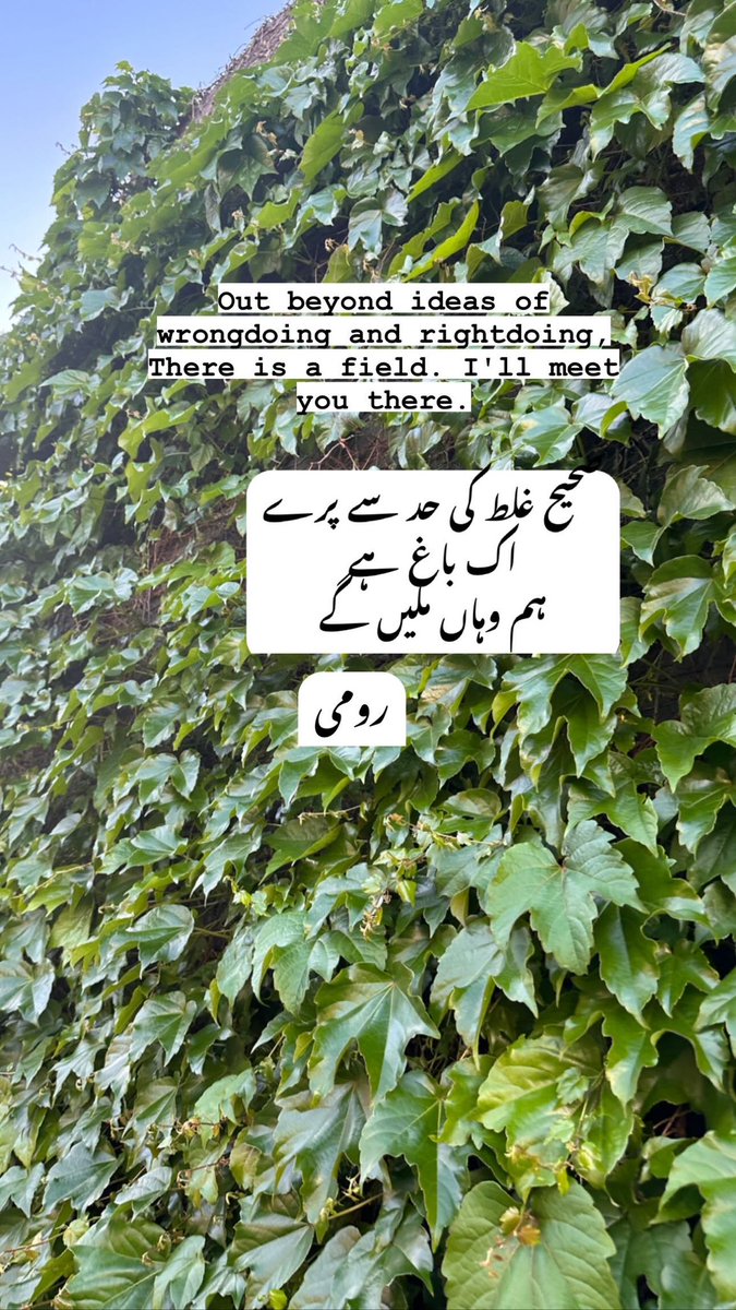 sadia_kay's tweet photo. #pov #rumi #Folllow #poetry https://t.co/ejaSFWxLf4