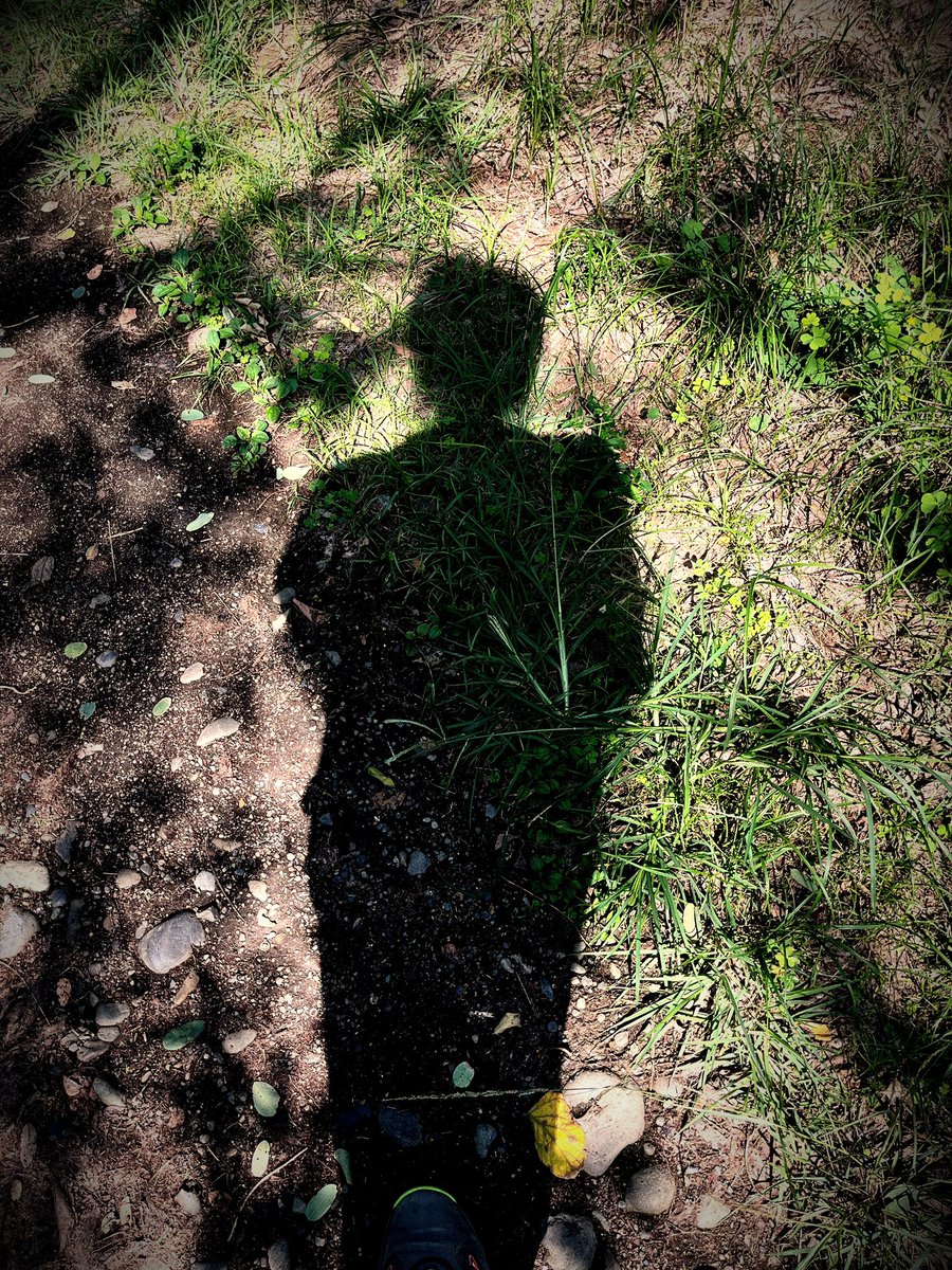 Kzi_official's tweet photo. だいぶ涼しくなってきましたね
おはようございます https://t.co/dygLVddAts