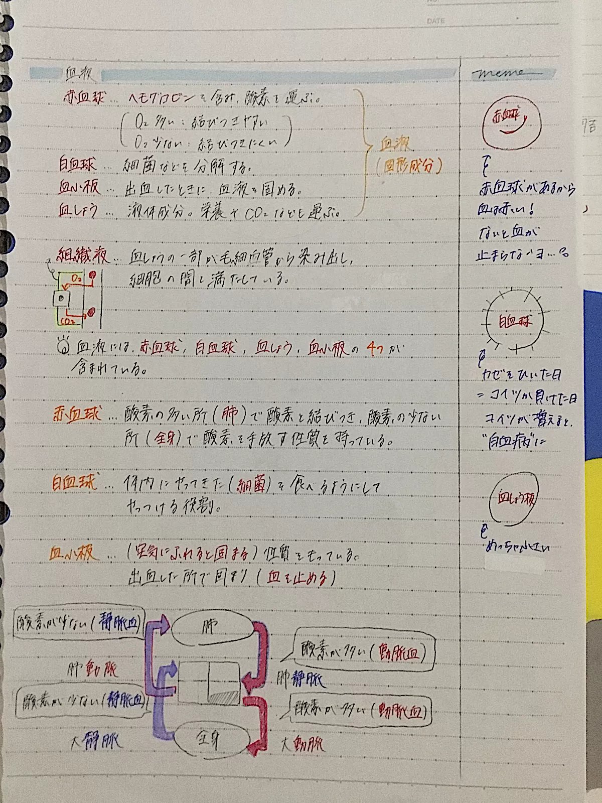 Clearnote-勉強ノートまとめ on X: 