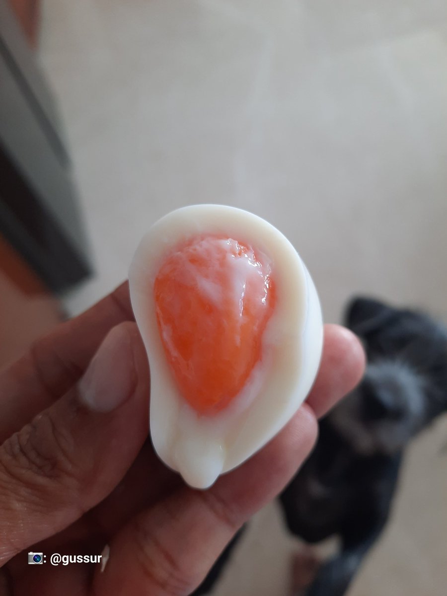 Nyobain masak telur dengan 7 sendok air dan 7 menit perebusan. Hasilnya masih jauh dari harapan. Tapi kalau dilanjutkan airnya sudah tipis. Apa 8-8 aturannya ya?
#viral #telur