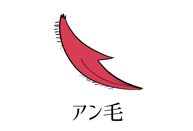 「アンジュさんの刺身」|221(ﾂﾂｲﾁ)同人作家VTuber@月一で電子同人誌制作中のイラスト