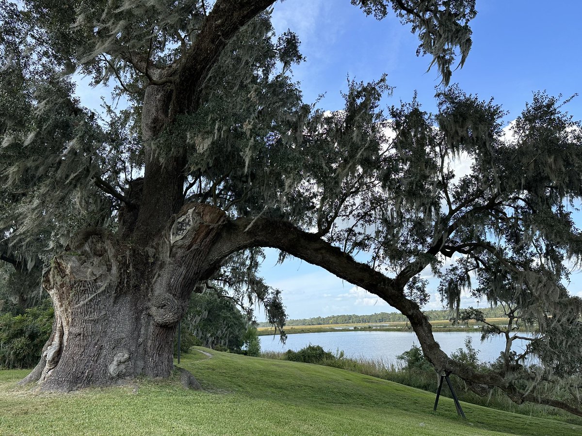 TLiewluck's tweet image. #WMS2023 group activity at Middleton Place!