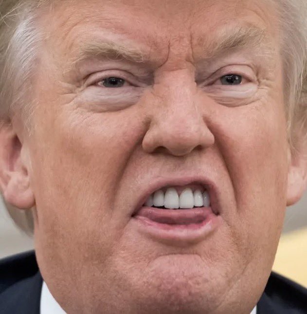 Rapist, bully, traitor, racist, fraud, swindler, philanderer, self-centered, liar, cheat, dumbass, evil, narcissist, asshole, motherfucker, thin skinned, agitator, coward and seditionist. Did I miss anything?