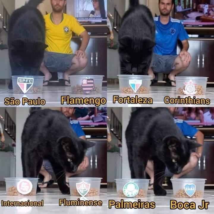 liberta___depre's tweet photo. O maior 'vidente' do Brasil. https://t.co/D7QKnhJcZf