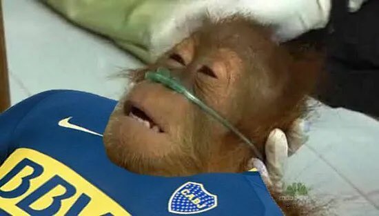 BOOOOCA 
BOOOOOOOOOCAA
BOOOOOOOOOOOOOOOCAAA