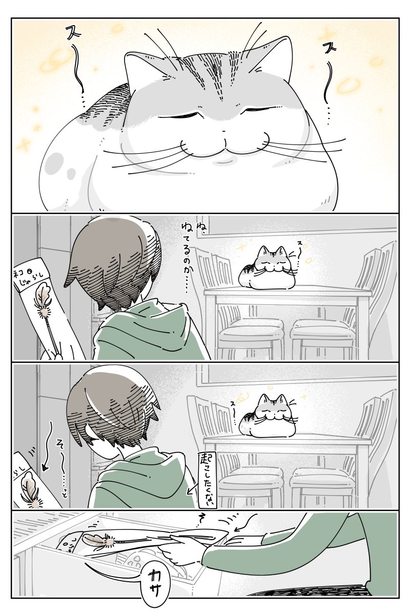 キュルZ tweet media