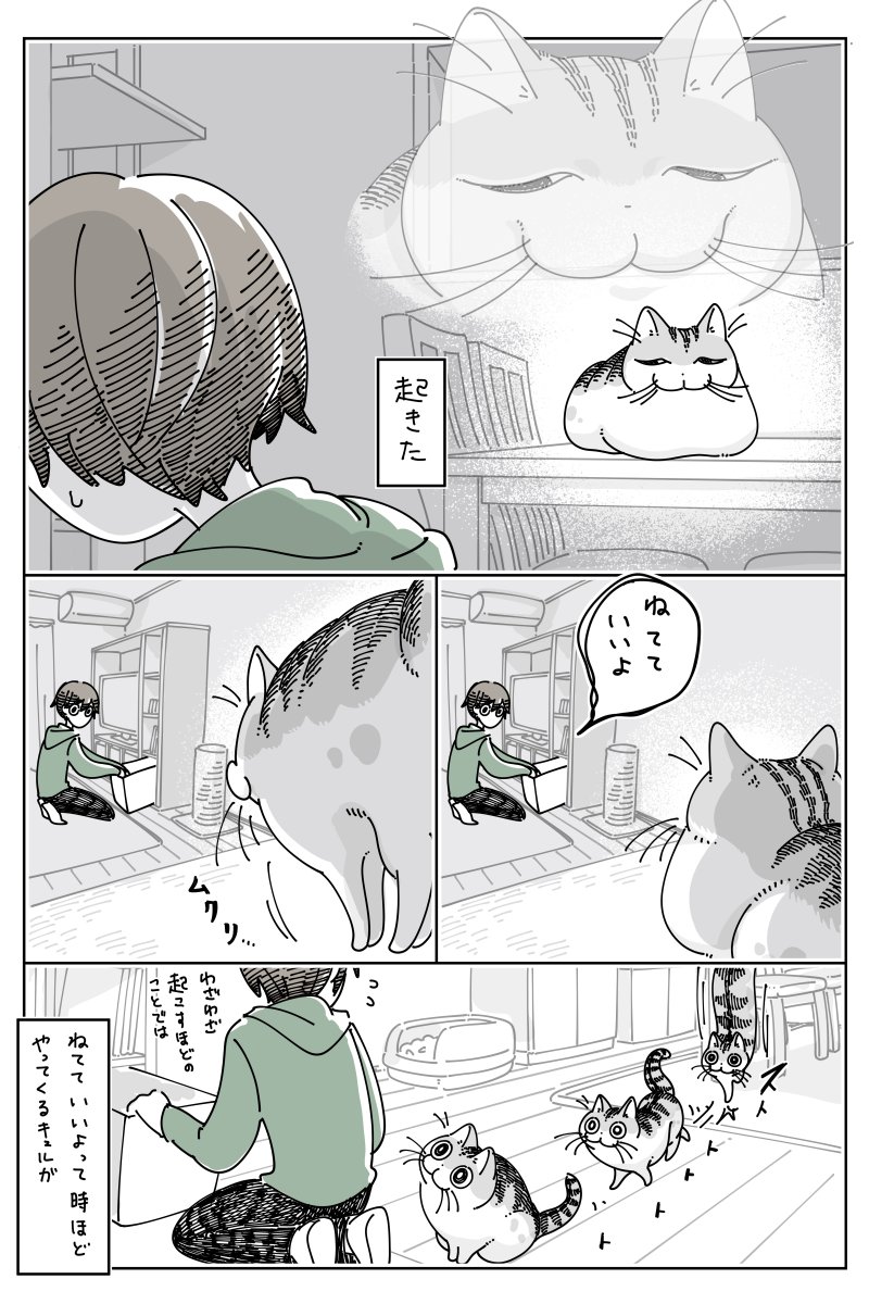 キュルZ tweet media