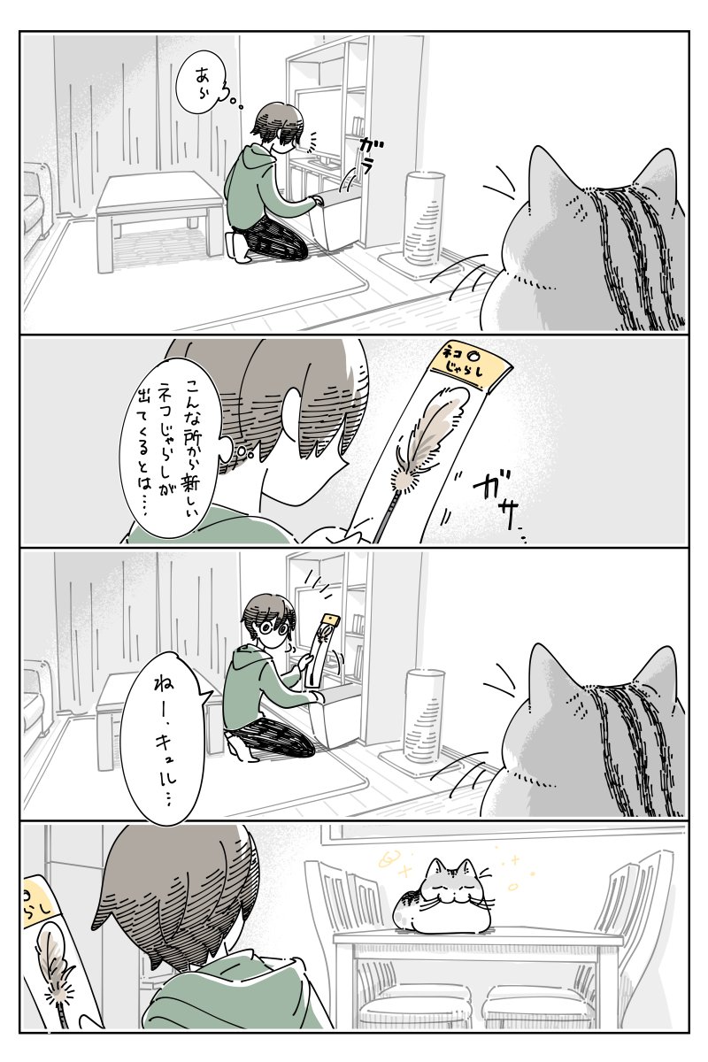 キュルZ tweet media